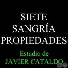 SIETE SANGRA - PROPIEDADES - Estudio de JAVIER CATALDO