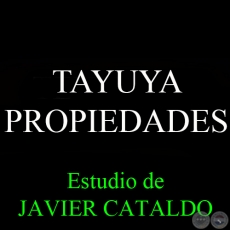 TAYUYA - PROPIEDADES - Estudio de JAVIER CATALDO