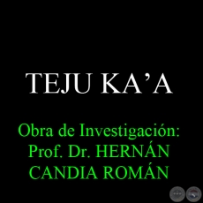 TEJU KAʼA - Obra de Investigacin: Prof. Dr. HERNN CANDIA ROMN