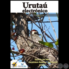 URUTAÚ ELECTRÓNICO - NÚMERO 04 - AÑO 10 - ABRIL 2012