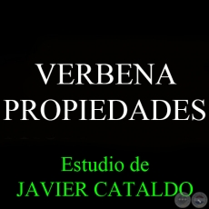 VERBENA - PROPIEDADES - Estudio de JAVIER CATALDO