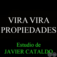 VIRA VIRA - PROPIEDADES - Estudio de JAVIER CATALDO