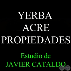 YERBA ACRE - PROPIEDADES - Estudio de JAVIER CATALDO