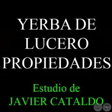 YERBA DE LUCERO - PROPIEDADES - Estudio de JAVIER CATALDO