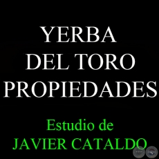 YERBA DEL TORO - PROPIEDADES - Estudio de JAVIER CATALDO
