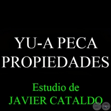 YU-A PECA - PROPIEDADES - Estudio de JAVIER CATALDO