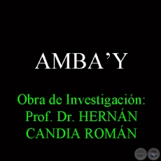 AMBAʼY - Obra de Investigación: Prof. Dr. HERNÁN CANDIA ROMÁN