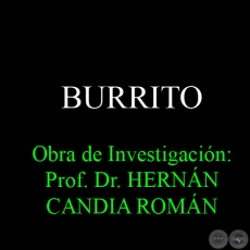 BURRITO - Obra de Investigación: Prof. Dr. HERNÁN CANDIA ROMÁN