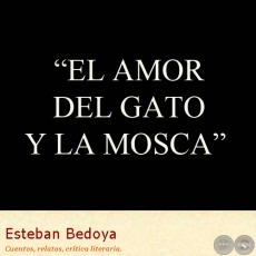 EL AMOR DEL GATO Y LA MOSCA - Cuento de ESTEBAN BEDOYA