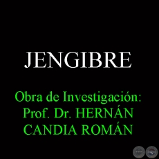 JENGIBRE - Obra de Investigación: Prof. Dr. HERNÁN CANDIA ROMÁN