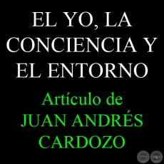 EL YO, LA CONCIENCIA Y EL ENTORNO - Por JUAN ANDRÉS CARDOZO - Sábado, 11 de Julio de 2009 