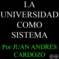 LA UNIVERSIDAD COMO SISTEMA - Por JUAN ANDRÉS CARDOZO - Sábado, 26 de Enero del 2013