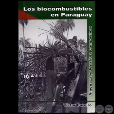 LOS BIOCOMBUSTIBLES EN PARAGUAY - Año 2010