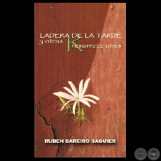 LADERA DE LA TARDE Y OTRAS RESURRECCIONES, 2007 - Poesas de RUBN BAREIRO SAGUIER