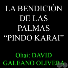 LA BENDICIN DE LAS PALMAS  PINDO KARAI - Ohai: DAVID GALEANO OLIVERA