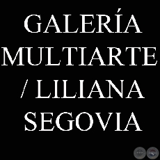 GALERA MULTIARTE / LILIANA SEGOVIA