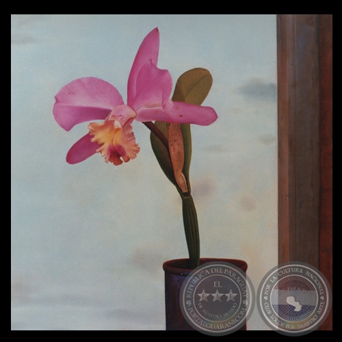 Obra de Sebastián Díaz - Año 2002