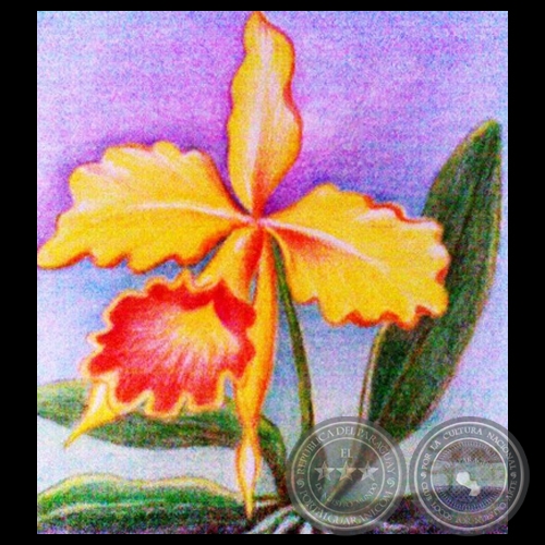 ORQUÍDEAS - Obra de JACQUELINE RYAN