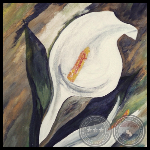 CALAS - Óleo de MARIA LUISA AYALA DE ANGULO