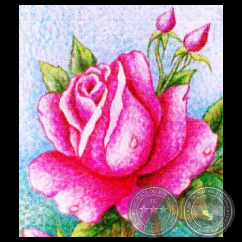 ROSA - Lápiz de color de JACQUELINE RYAN