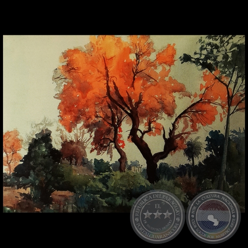 LAPACHO ROSADO - Acuarela de FRANCISCO TORNÉ GAVALDÁ -  Década de 1950 