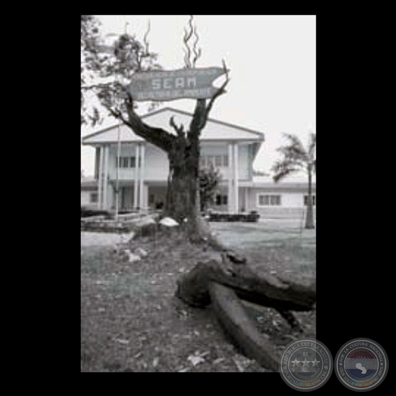 CLAMOR DEL BOSQUE, años 90 - Escultura de HERMANN GUGGIARI