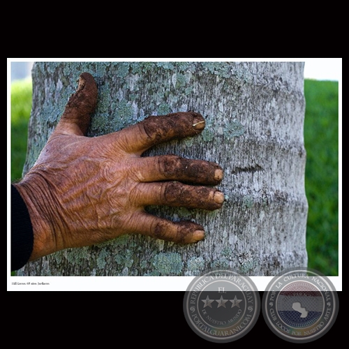 HAND-TO-HAND - MANO-MANO (2002-2010) - Fotografías de FRANCENE KEERY PLANAS