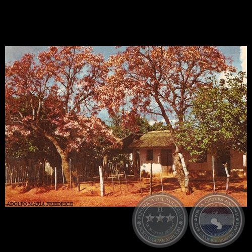 RANCHITO CON CEIBOS EN FLOR - FERNANDO DE LA MORA - PARAGUAY - Foto de ADOLFO MARÍA FRIEDRICH 