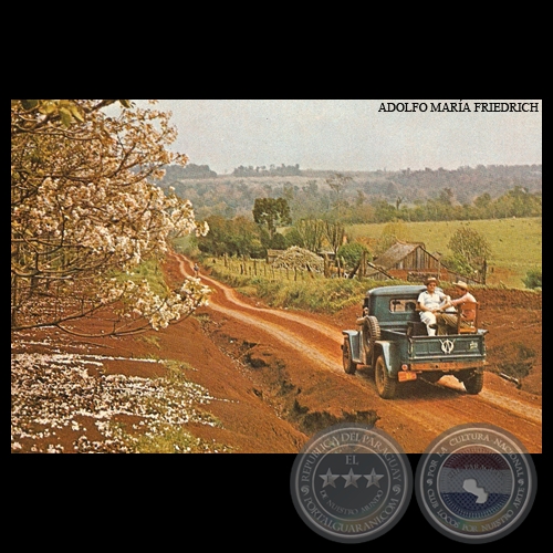 PLANTACIONES DE TUNGCOLONIA POLACA FRAM - PARAGUAY - Foto de ADOLFO MARÍA FRIEDRICH