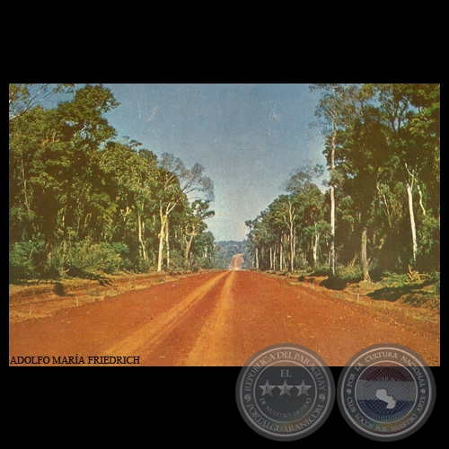 CAMINO EN LA ZONA DEL RÍO PARANÁ - Foto de ADOLFO MARÍA FRIEDRICH