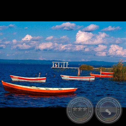 BOTES EN AREGUÁ - Fotografía de FERNANDO ALLEN