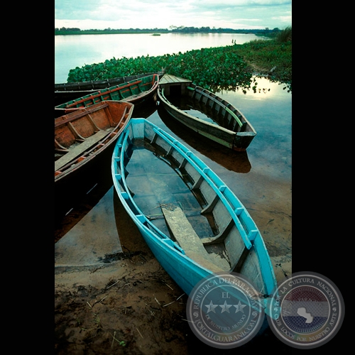 RÍO JEJUI - CANOAS - Fotografía de FERNANDO ALLEN