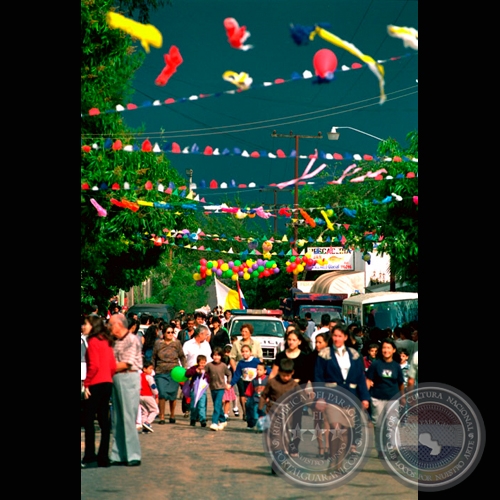PROCESIÓN DE SAN ANTONIO - Fotografía de FERNANDO ALLEN