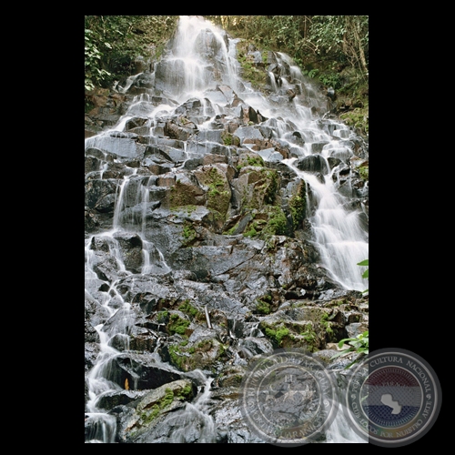 SALTO CARAPA (MBARACAYU) - Fotografía de FERNANDO ALLEN