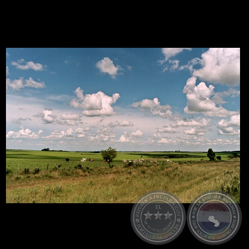 PAISAJE DE RUTA I - Fotografía de FERNANDO ALLEN