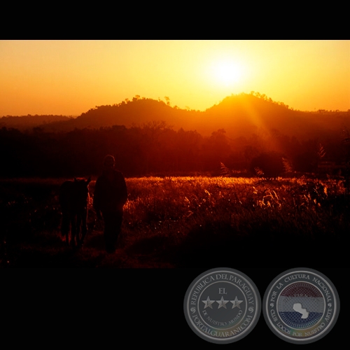 ATARDECER CAMPESINO - Fotografía de Fernando Allen