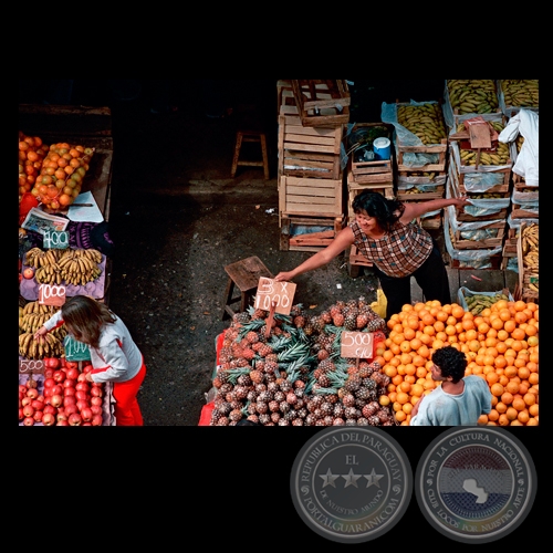 PONIENDO LOS PRECIOS A LAS FRUTAS - Fotografía de FERNANDO ALLEN