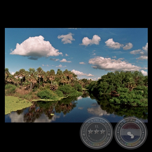 PAISAJE, BAJO CHACO - Fotografía de Fernando Allen