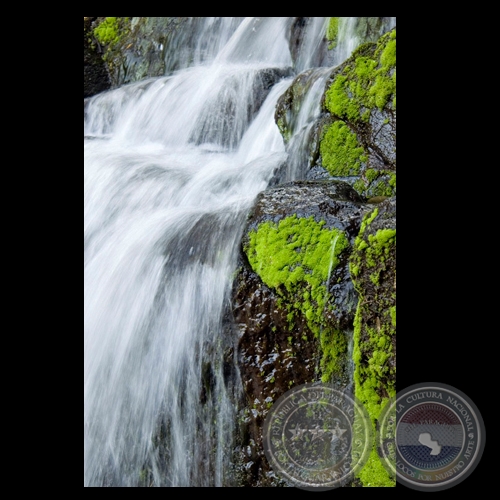 SALTO TACUAPÍ - Fotografía de FERNANDO ALLEN