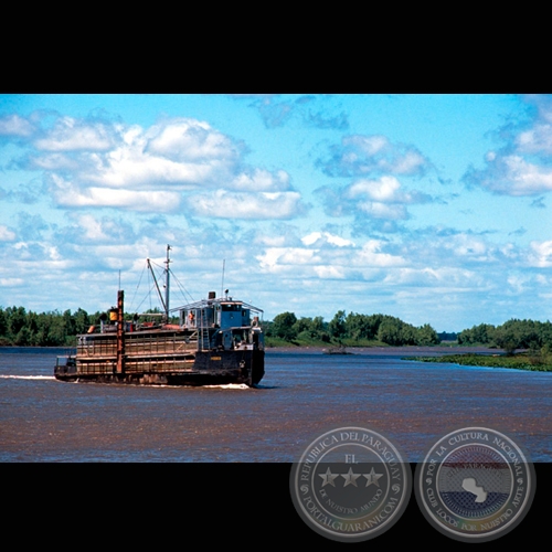 TRANSGANADO FLUVIAL - Fotografía de FERNANDO ALLEN