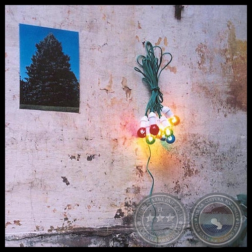 NAVIDAD - Instalación de BETTINA BRIZUELA