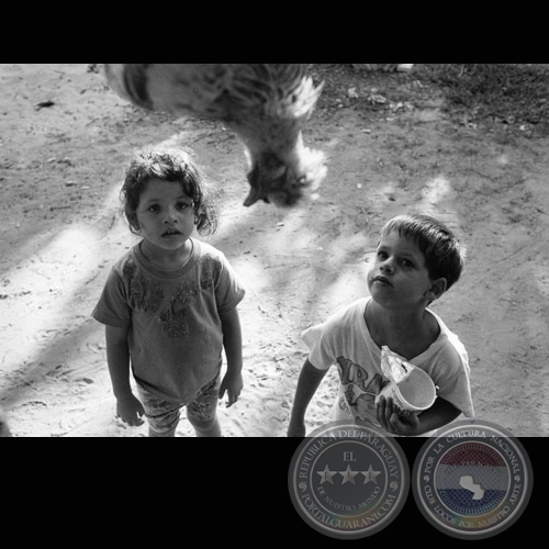 LA GALLINA - Fotografía de Carlos Bittar - 01/1992 
