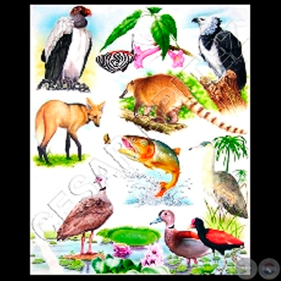 ANIMALES - Ilustración de César Brítez