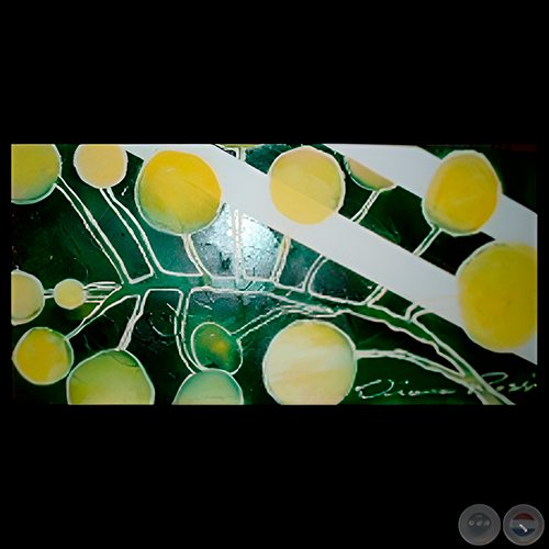 GALAXI, 2008 - Técnica Mixta de DIANA ROSSI