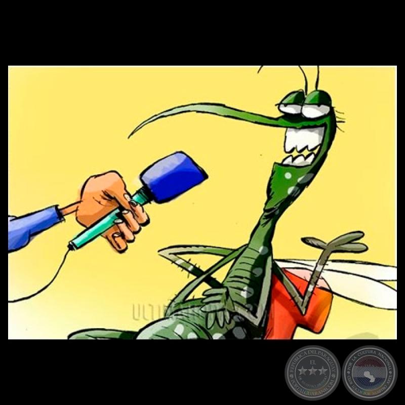  ENTREVISTA CON EL MOSQUITO AEDES AEGYPTI - Ilustración de ENZO PERTILE 