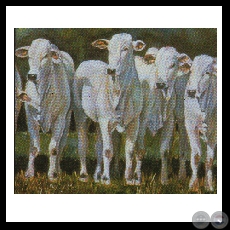 UNA MIRADA AUSENTE (Serie) - Las obras de Virginia Franco - Años 2001/2003 