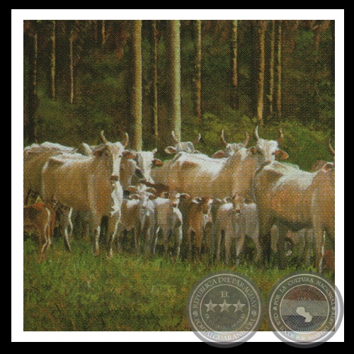 UNA MIRADA AUSENTE (Serie) - Las obras de Virginia Franco - Años 2001/2003 