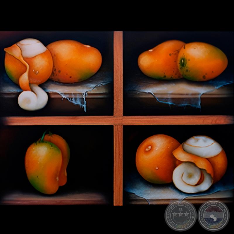 RETROSPECTIVA DE ROSSI SCHUBERT - Jueves, 16 de julio de 2009