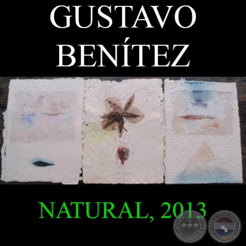 NATURAL, 2013 - Obras de GUSTAVO BENÍTEZ
