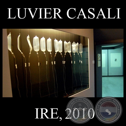 IRE, 2010 - Instalación de LUVIER CASALI